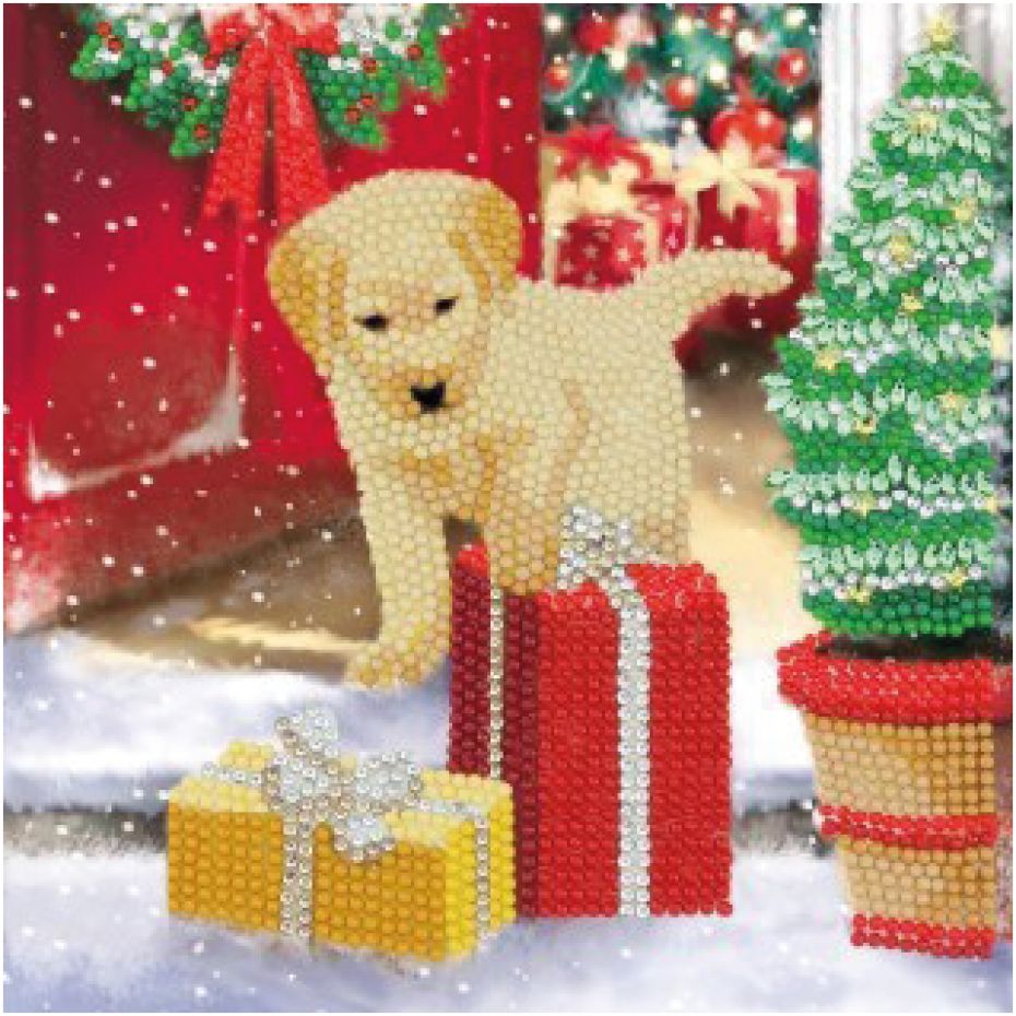 Card 18x18  - Labrador pup