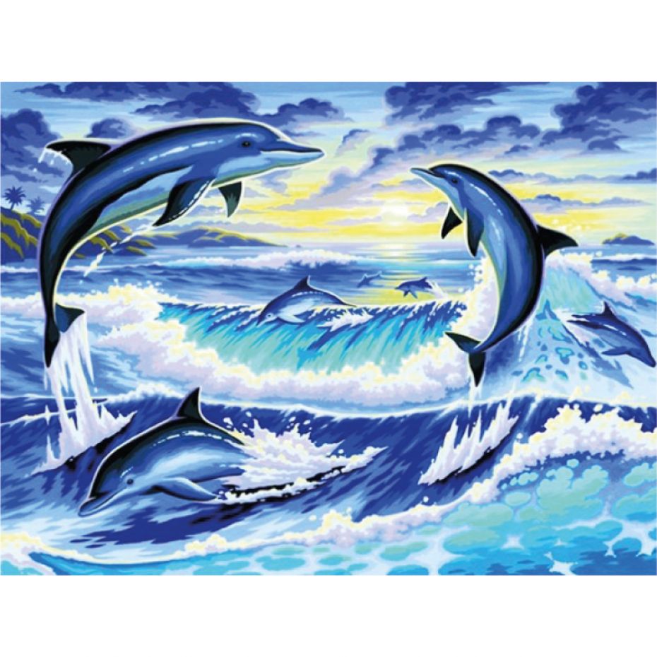 Dolphins - rounded 50x40