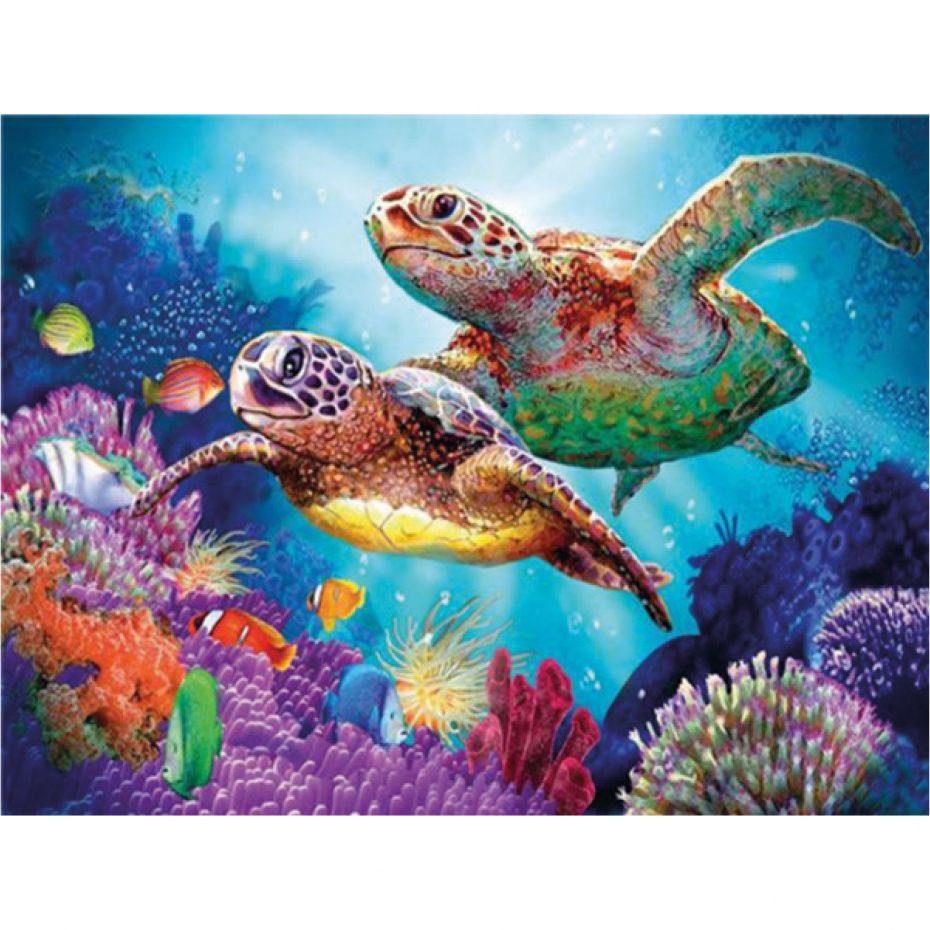 Tortues - rond 40x30