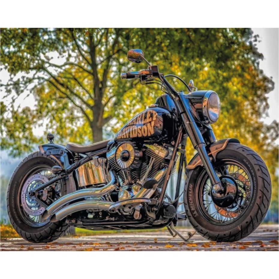 Harley - rond 50x40