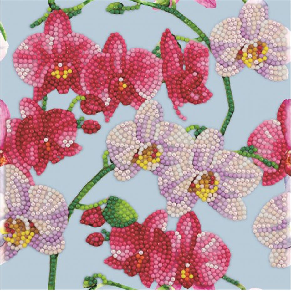 Carte 18x18 - Orchidée