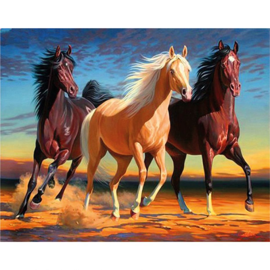 Horses - rounded 50x40