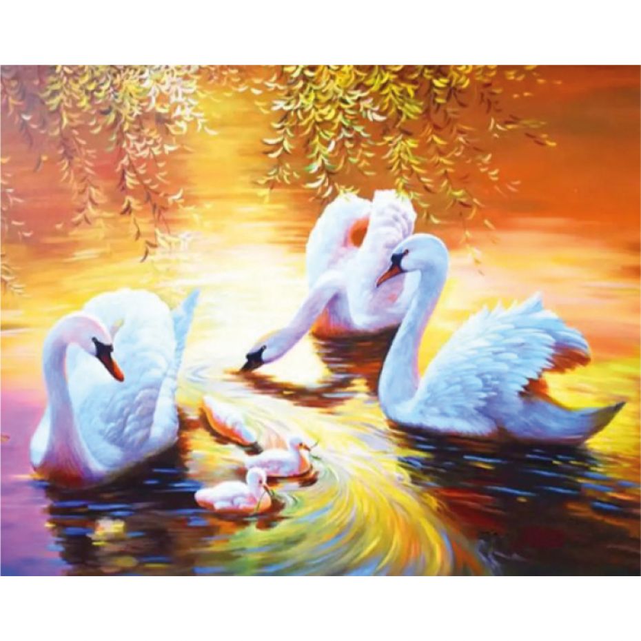 Swans - rounded 50x40