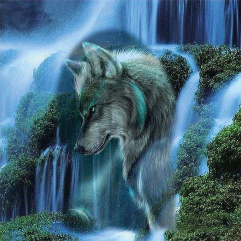 Wolf - rond 50x40