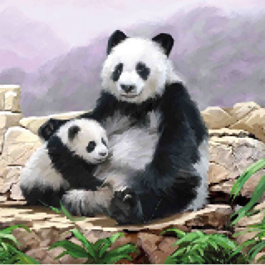 Carte 18x18 Panda