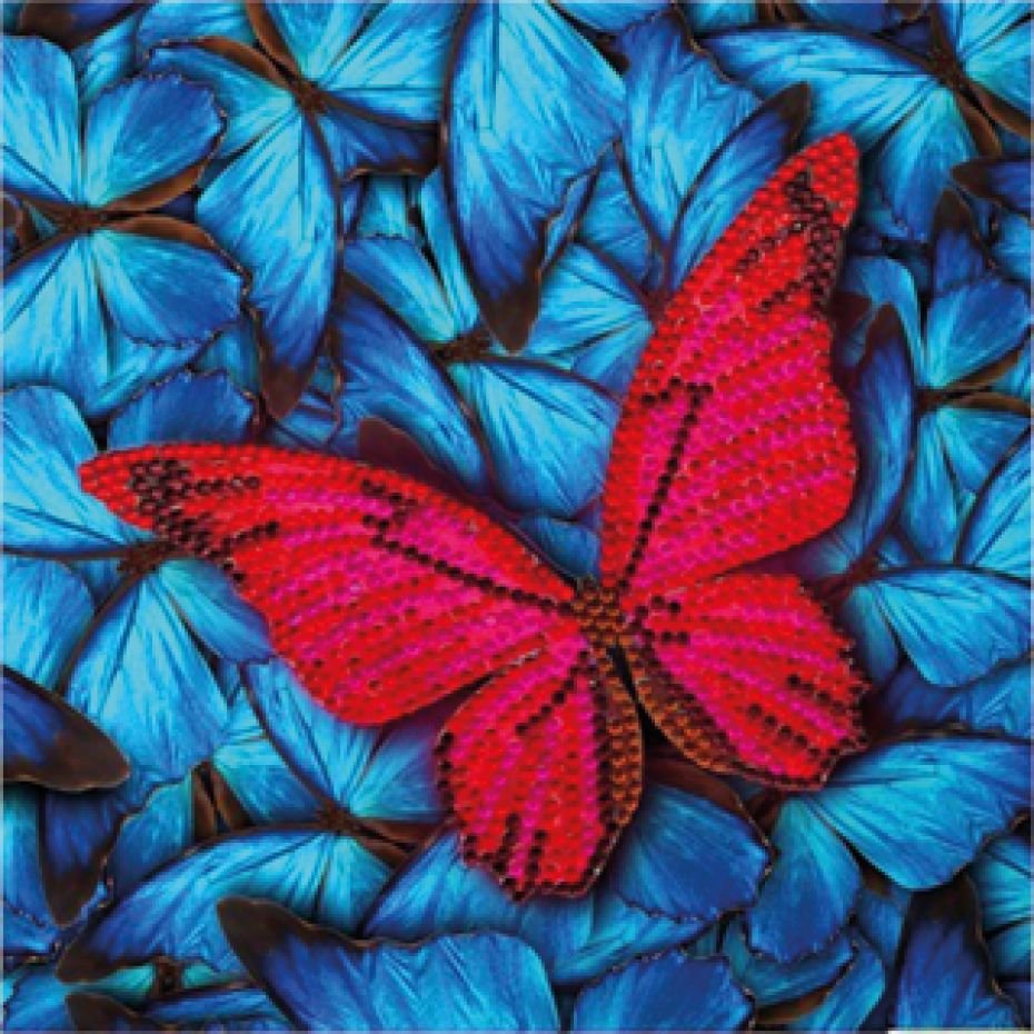Carte 18x18 Papillon