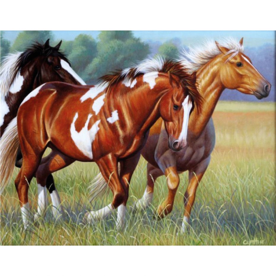 Paarden - rond 40x30