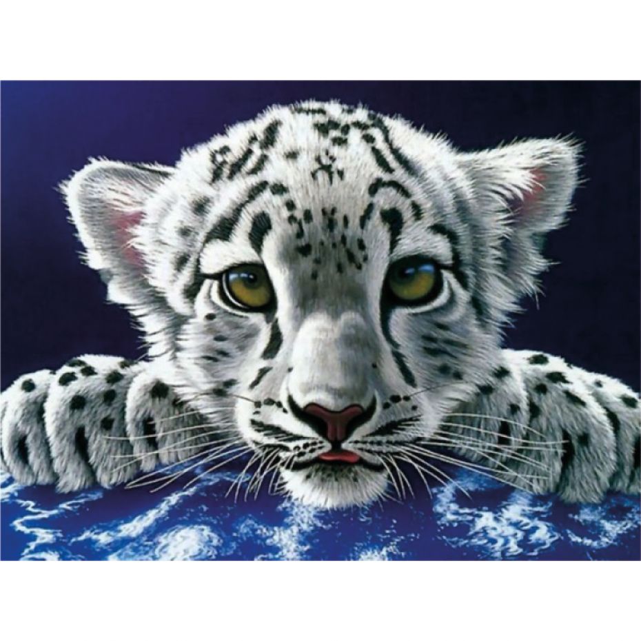 Tiger kitten - rounded 40x30