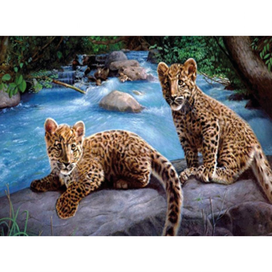 Luipaard pups - schilderen 40x30