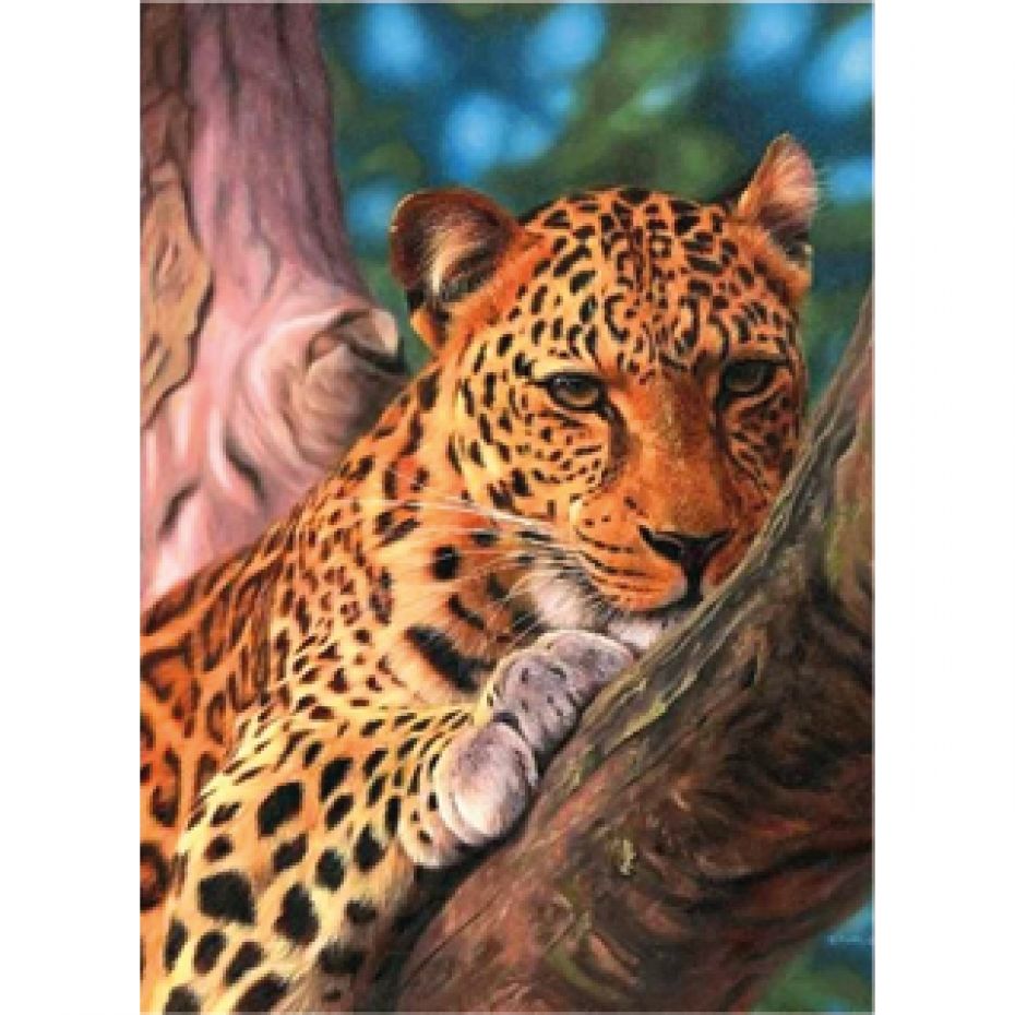 Luipaard - schilderen 40x30