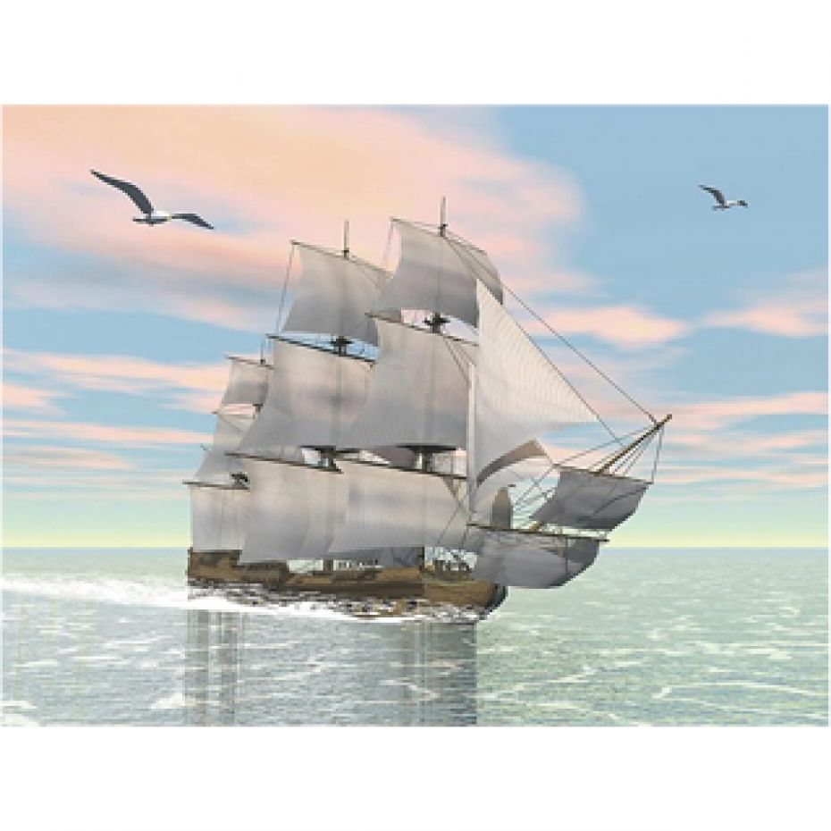 Sailboat seagulls - peindre 40x30