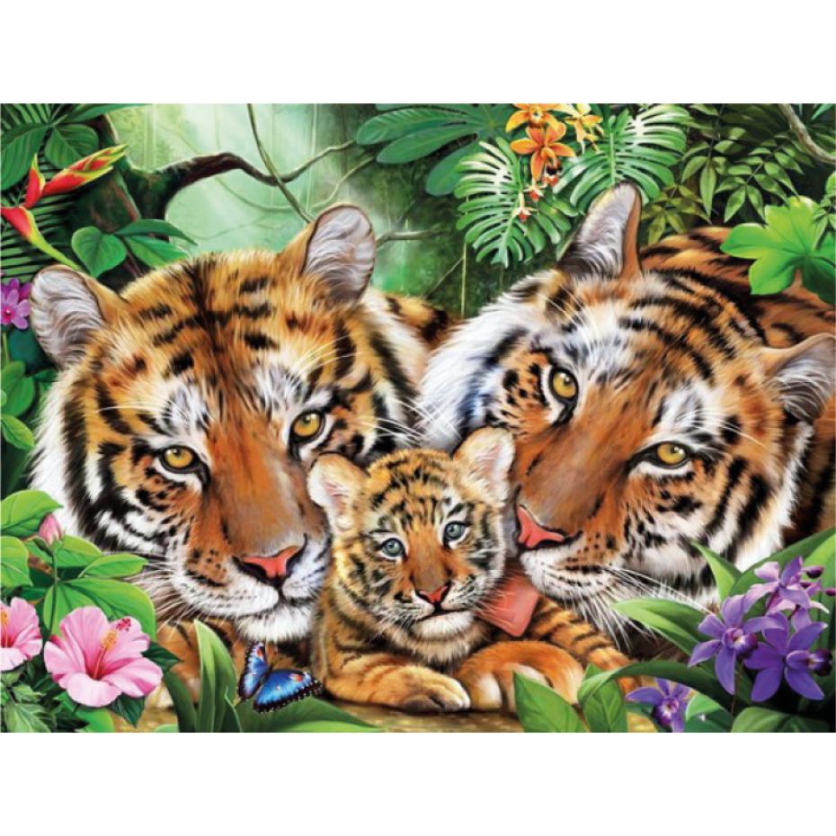 Tigres - rond 40x30